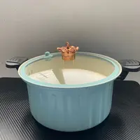 双耳汤锅不粘锅炖锅家用罗马锅电磁炉专用燃气灶F2