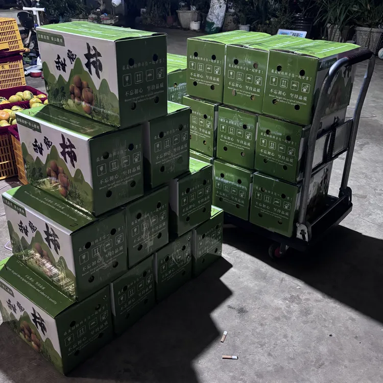 云南高山种植，次郎甜脆柿，树上自然脱涩！