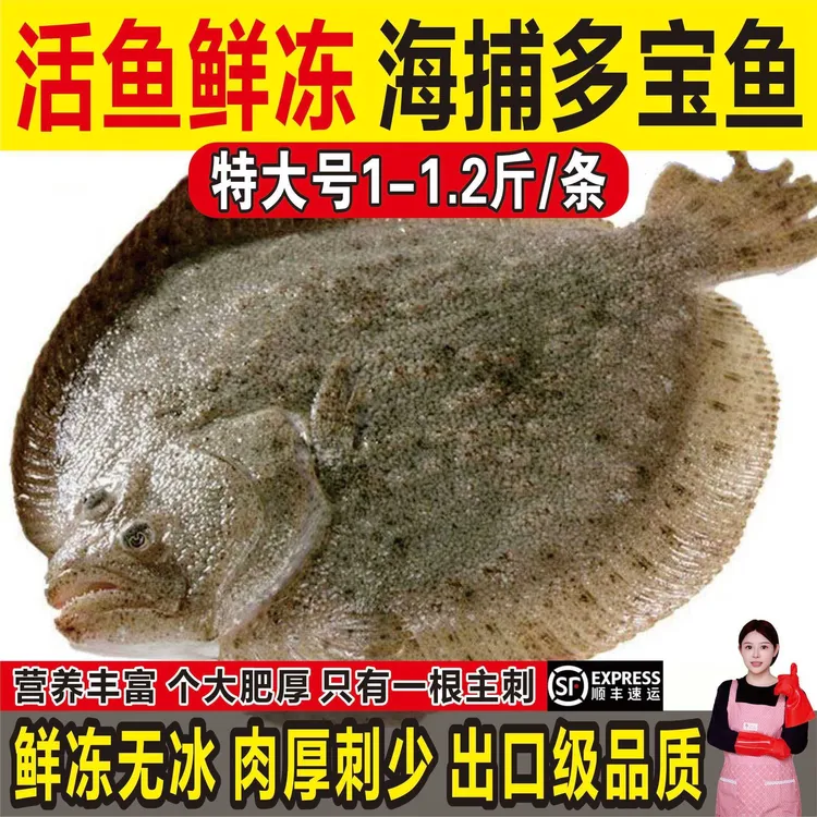 免处理【三去多宝鱼】新鲜比目鱼大菱鲆野生海鱼鲜活冷冻海鲜水产