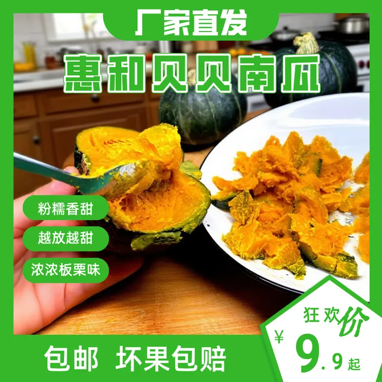 【挑食宝宝追着吃】惠和一号贝贝南瓜