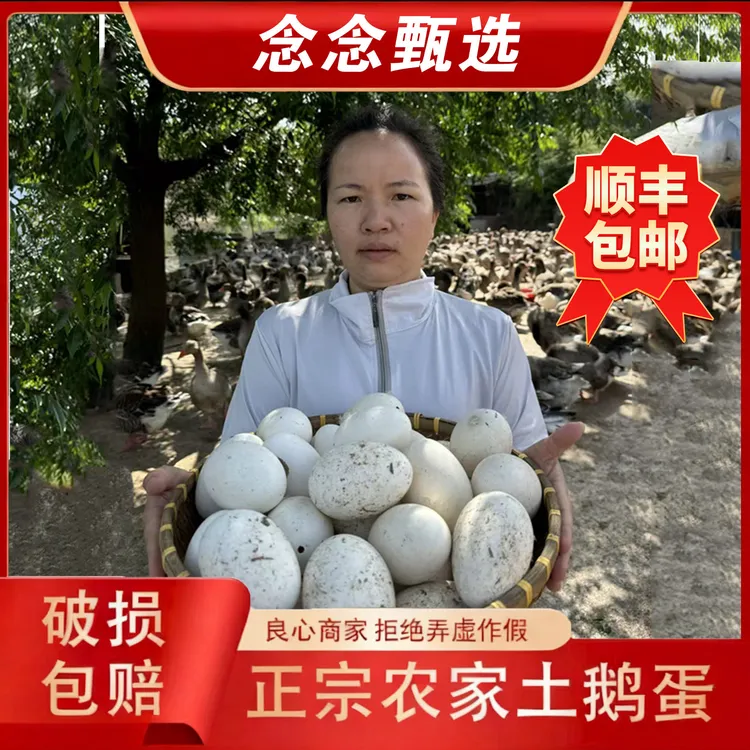 正宗农家散养保真土鹅蛋 现捡现发 一箱12枚 顺丰包邮(破损包赔)