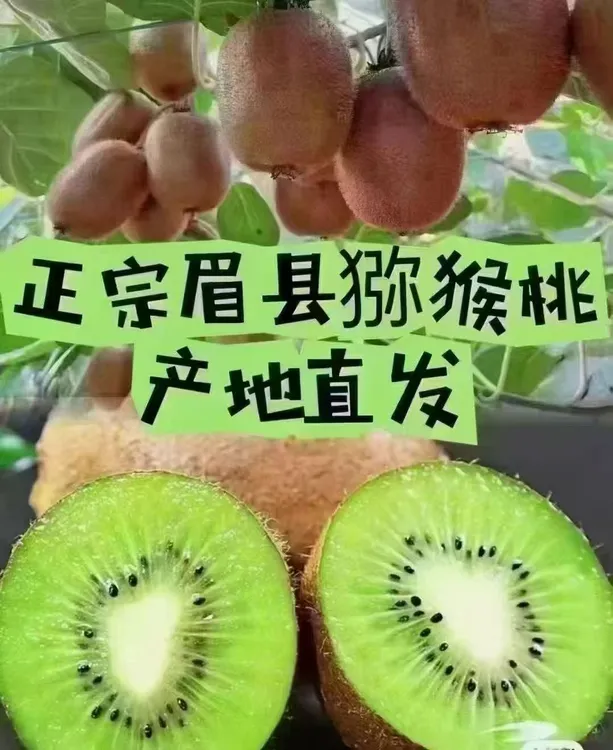 陕西眉县徐香猕猴桃 （10斤专拍）软糯香甜 绿心