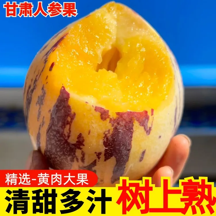 甘肃人参果黄皮黄肉自然成熟低糖低脂新鲜上市 小果