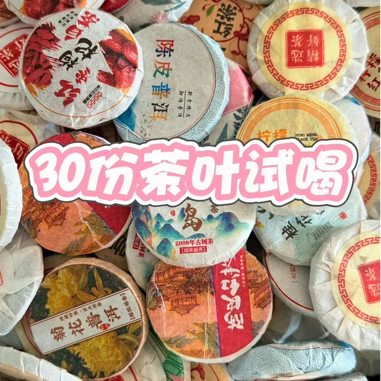 办公室口粮茶陈皮普洱茶花果小茶饼15种多品茶叶礼盒生茶白茶测试