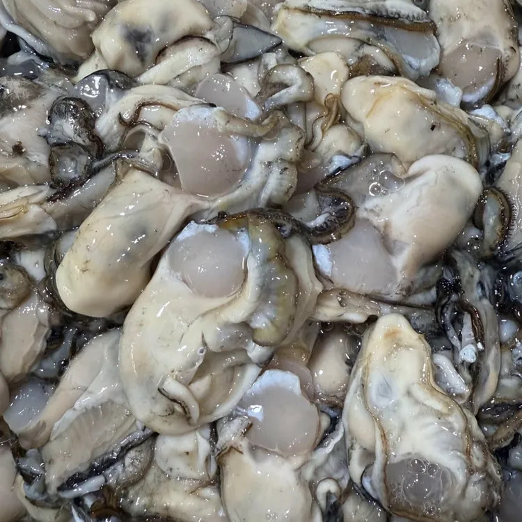 大连长海县广鹿岛纯原浆海蛎子优速达(省内)顺丰(省外)包邮