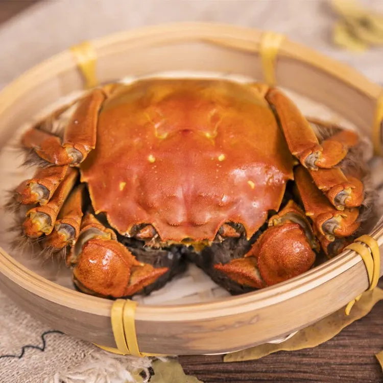 母蟹【礼盒装·8只】鲜活江苏大闸蟹2.5两-3两顺丰京东冷链发货