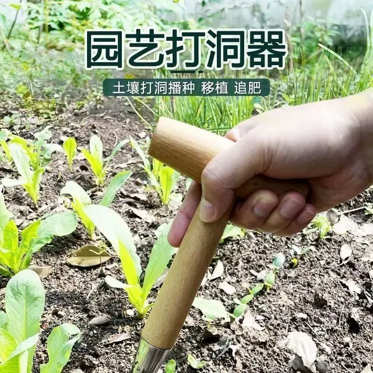 种菜播种打洞工具移苗追肥木柄育苗播籽器花园多肉种苗打孔器