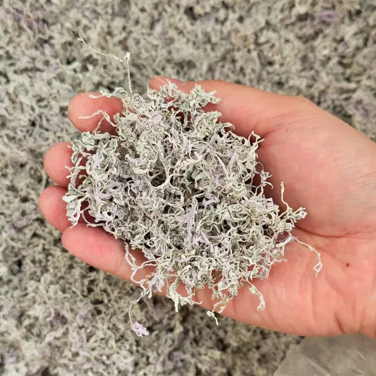 【小王推荐T61】2025新茶高山嫩芽藤茶