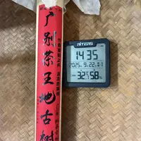 2014年广别茶王地竹筒茶500克普洱生茶WMJ1号9月22日