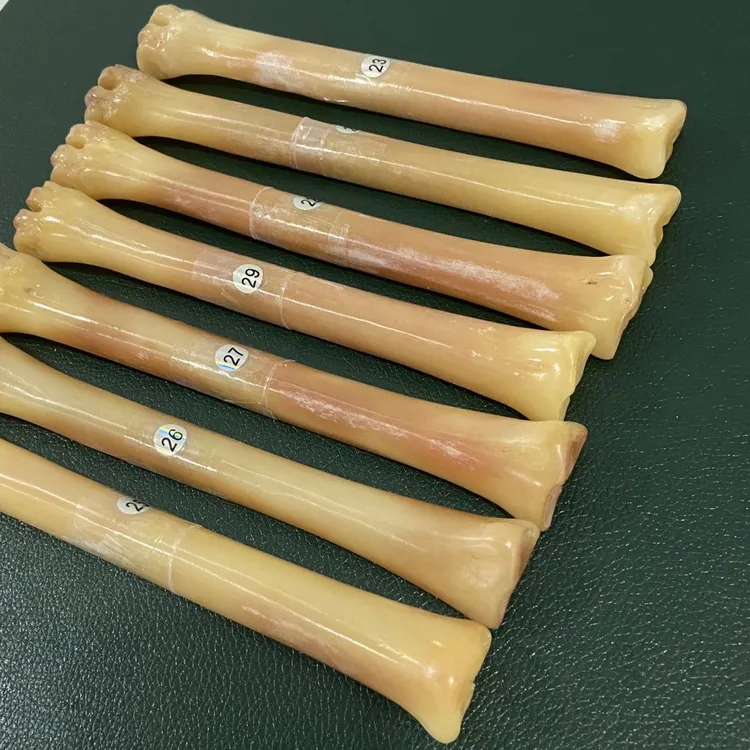 文玩 鹿腿骨 鹿骨手把件 精细打磨 油润度高骨 可挑选保养皮具