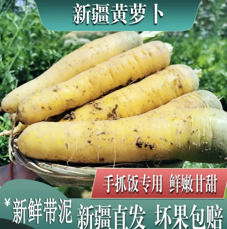 新疆黄萝卜抓饭专用胡萝卜应季蔬菜胡萝卜脆甜多汁生吃宝宝辅食