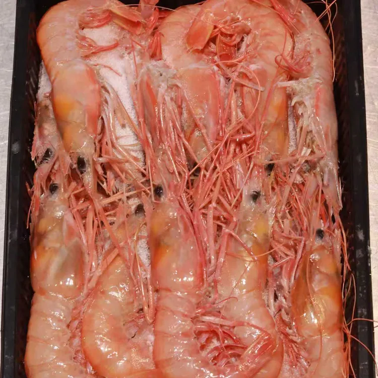 来自东海船冻大红虾个头大饱满！口感嫩滑！