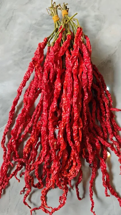 贵州大方皱椒鸡爪辣皮薄肉厚微辣特香干辣椒炒菜香