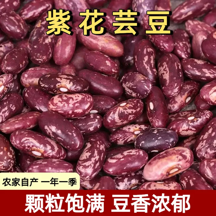 紫花芸豆花芸豆饭豆农家种植五谷杂粮熬煮大碴粥新鲜芸豆粗粮新豆