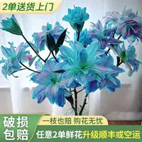 【源头优选老六】极光重瓣百合/元旦预热 任意2单鲜花升级快递