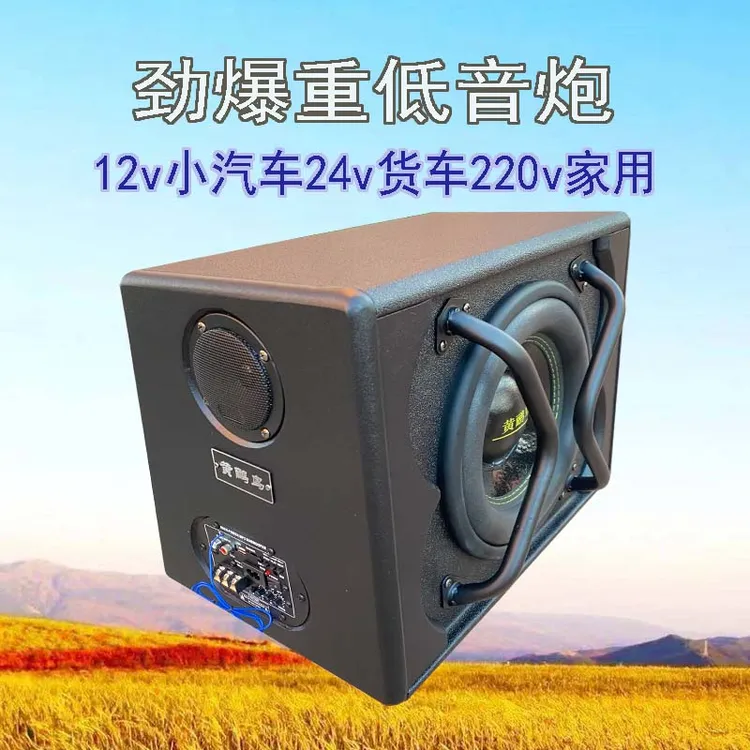 黄鹂鸟10寸12v24v220v车载音响迷你家用低音炮大功率车载低音炮