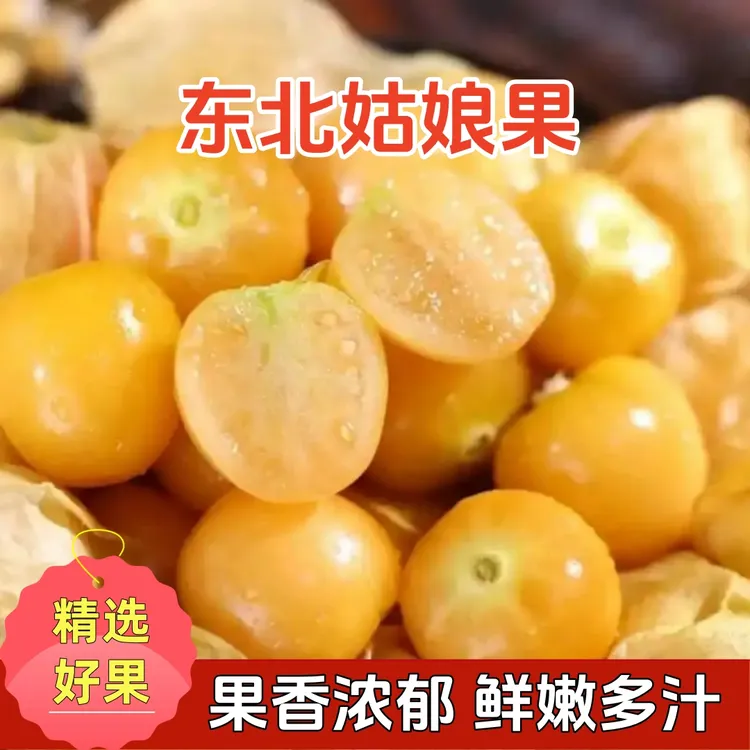 【乔娘娘专属】头茬东北姑娘果灯笼果香甜可口新鲜采摘产地直发