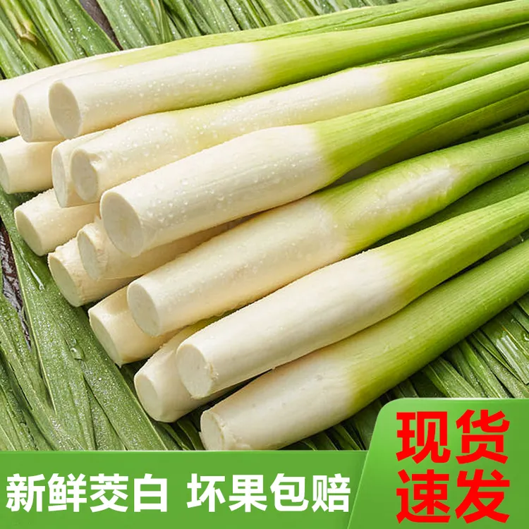 【现摘现发】云南新鲜高山茭白当季农家蔬菜茭瓜农家自种人参果