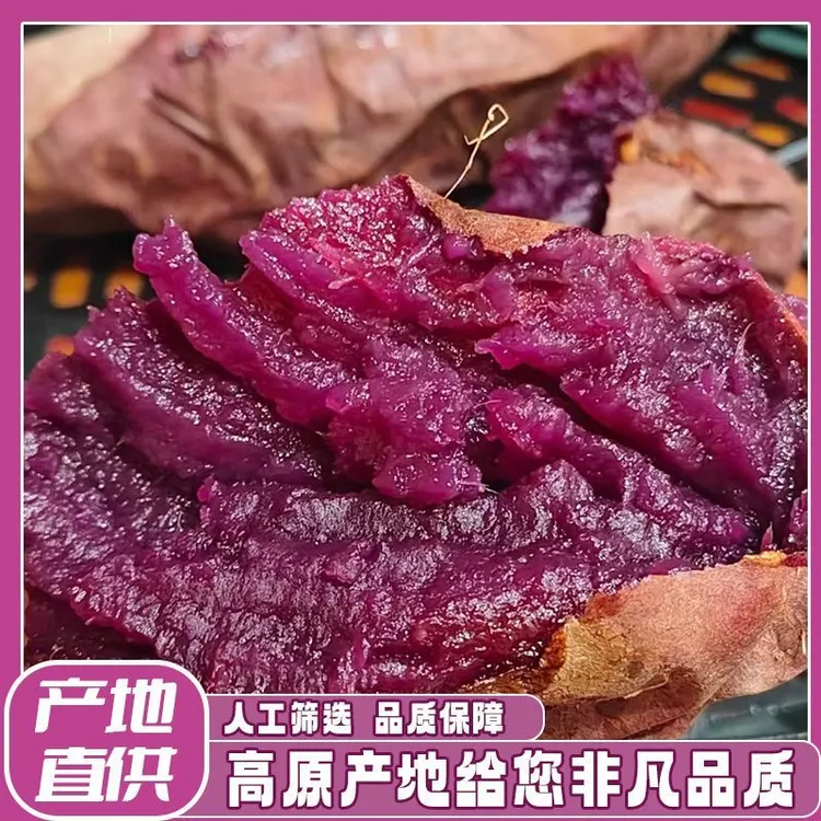 山东紫薯红薯沙地糖心紫薯香甜粗粮地瓜新鲜紫薯番薯代餐食品