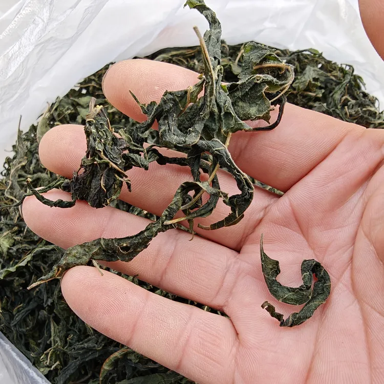 农家自晒干春芽干香椿干椿芽