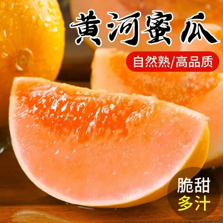 甘肃民勤沙漠蜜瓜黄河蜜甜瓜新鲜当季水果产地直发4-9斤