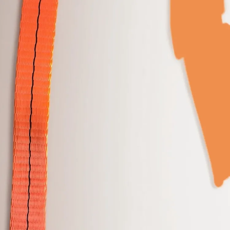 桔色抗晒五年拉力大