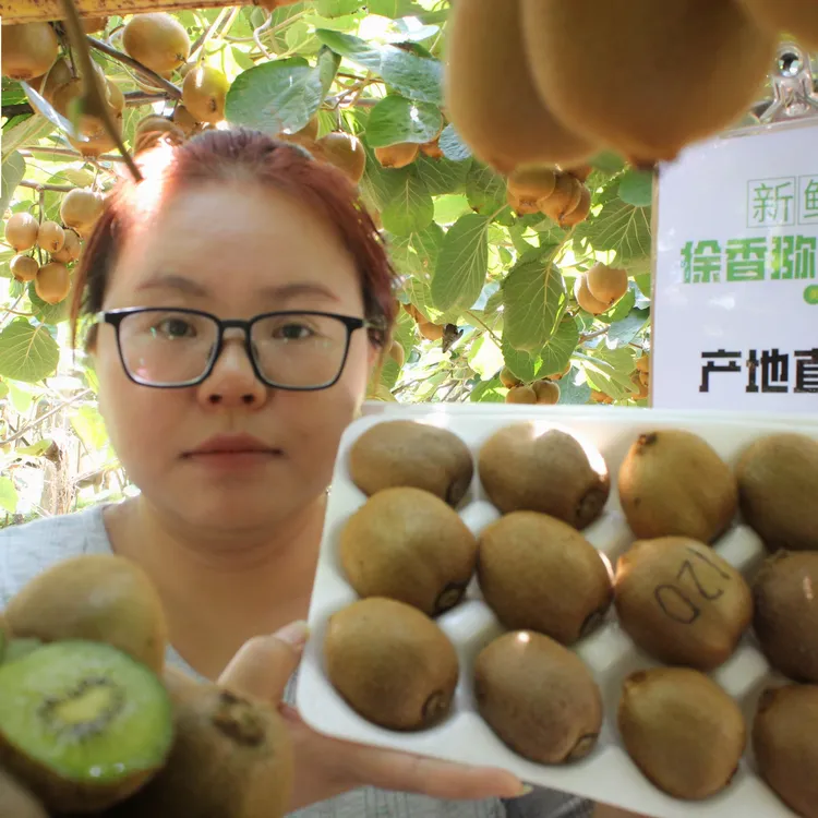【京东产地直发】陕西眉县正宗徐香猕猴桃-只卖优质大果