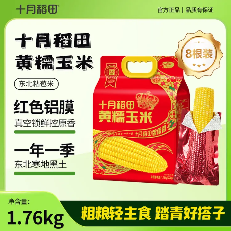 蛇年款 十月稻田黄糯玉米棒香甜糯东北低脂饱腹早餐夜宵粗粮轻食