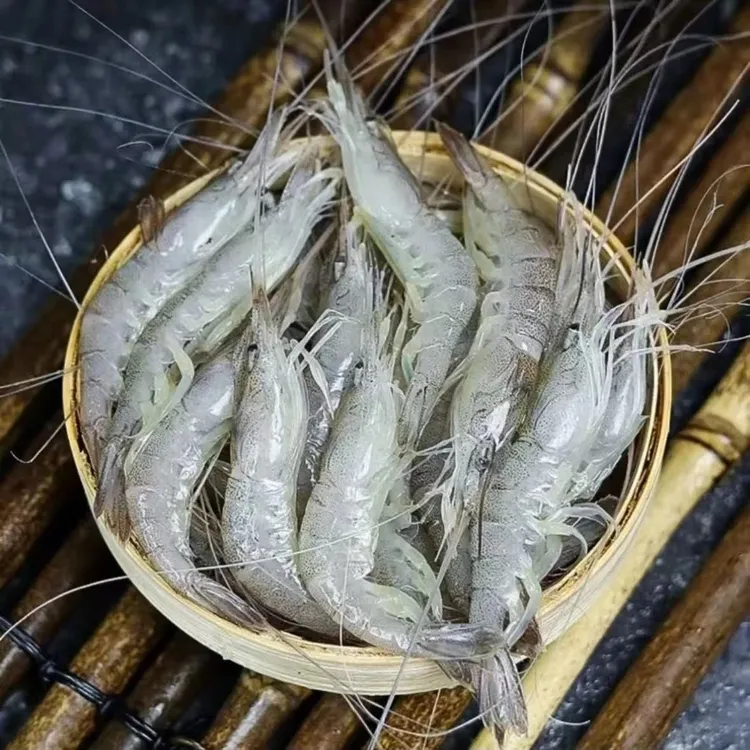 莱州当地纯野生新鲜小海虾羊毛虾野生小虾小白虾5斤京东包邮