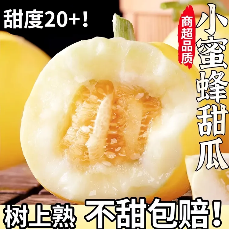 【顺丰包邮现摘头茬山东正宗】小蜜蜂香瓜甜瓜10斤星甜20小甜瓜脆甜