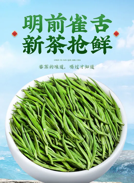 2025明前头采雀舌贵州高山云雾好茶