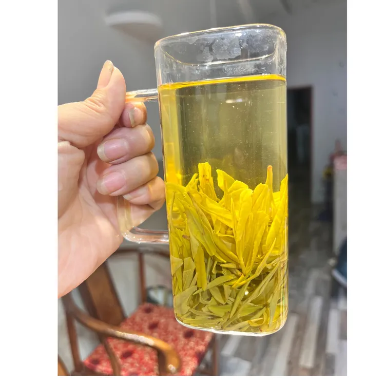 2025年新茶安吉高山黄金芽豆香味耐泡回甘 250g/500g