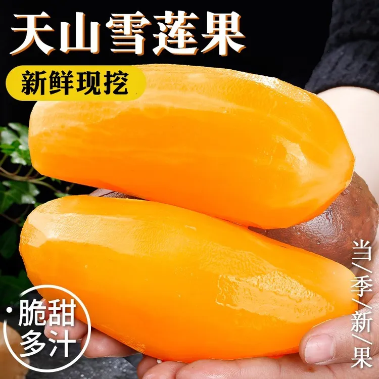 云南天山雪莲果新鲜应季黄心水果清甜脆爽多汁现挖产地包邮