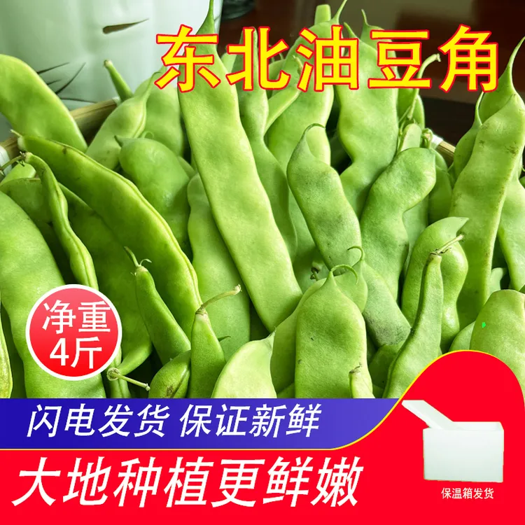 东北油豆角 新鲜现摘 大地油豆角 现摘现发4斤装 泡沫箱冰袋发货