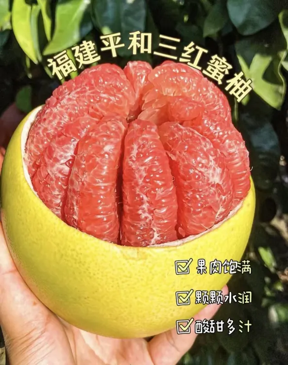 【送礼专属】福建漳州平和琯溪红心蜜柚现摘当季新鲜水果皮薄鲜嫩
