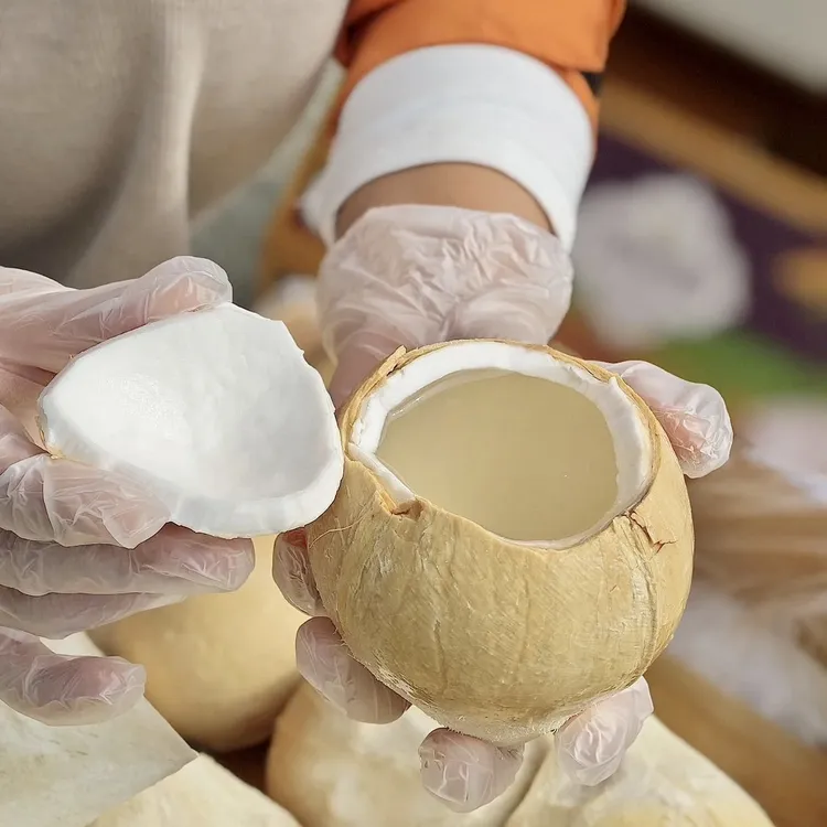 【整件只发广东省】整件泰国进口奶香椰皇 新鲜清甜多汁顺丰包邮