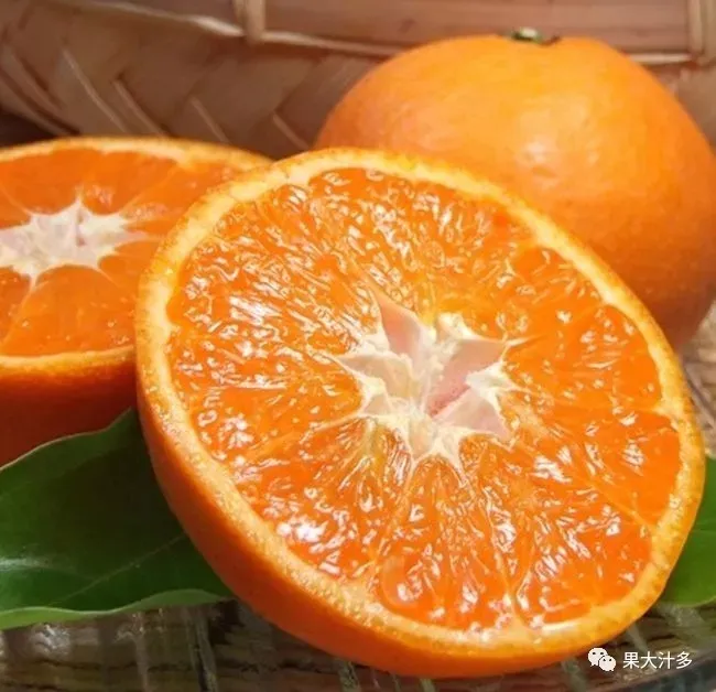 眉山爱媛果冻橙橙子新鲜自家种植精品果直发保证足斤足两爱媛橙