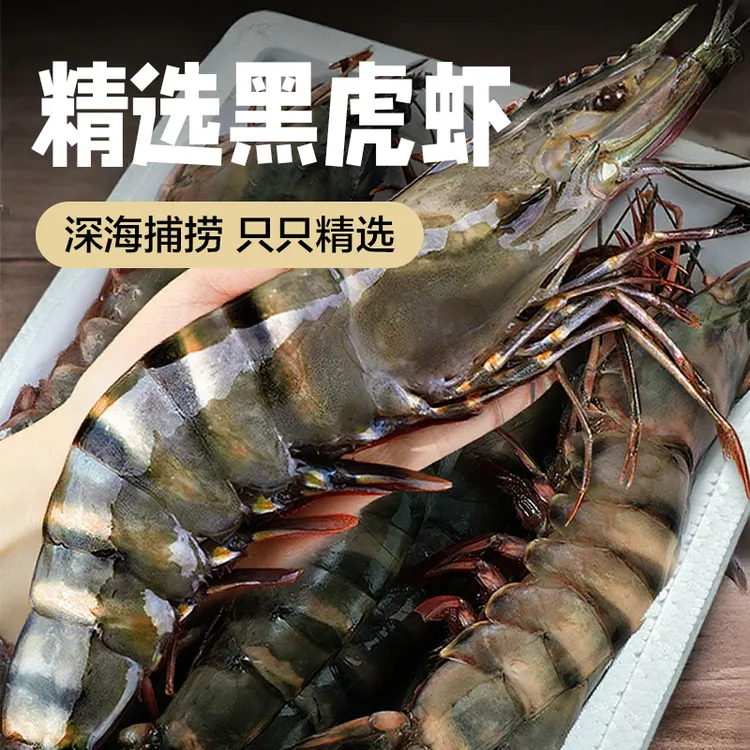 巨型黑虎虾超大黑虎虾老虎虾非盐冻特大虎虾冬日火锅食材