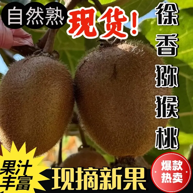正宗陕西徐香绿心猕猴桃大果产地直销新鲜装孕妇应季奇异果直播