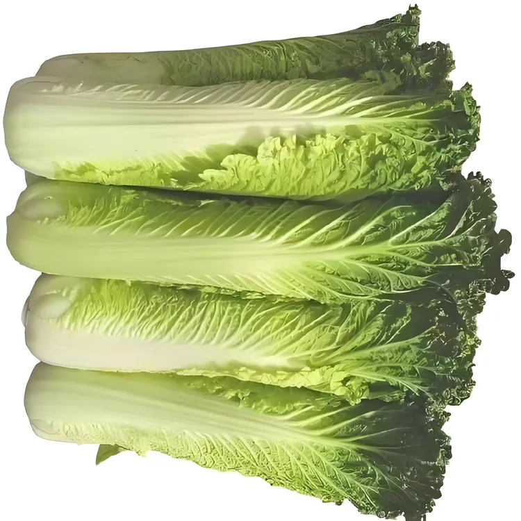 贵州麻叶青口白菜青麻叶白菜高山自然生长新鲜现采火锅菜清甜可口