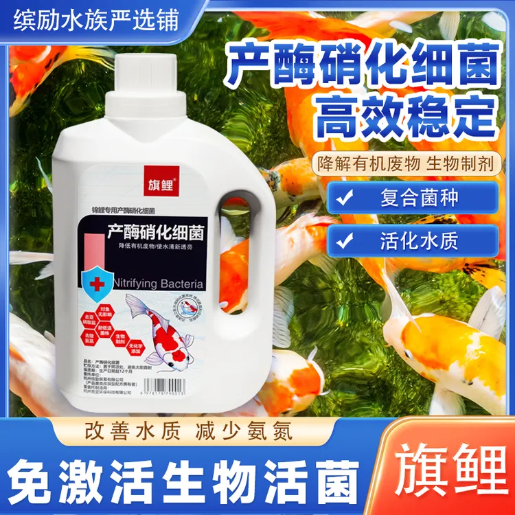 旗鲤观赏鱼产酶硝化细菌鱼缸鱼池降氨氮净水稳定剂水族养鱼必备