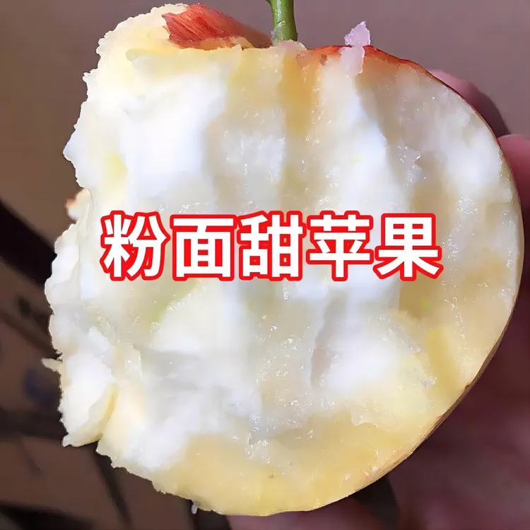 陕西乔纳金粉面苹果5-8斤装沙甜糯宝宝刮泥吃新鲜高山粉面丑苹果