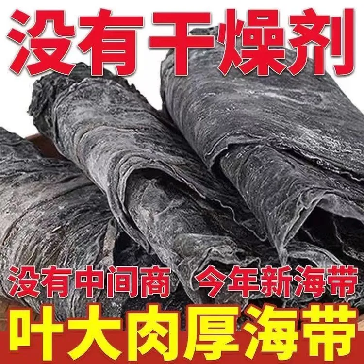 整条无沙海带干厚实霞浦干货火锅食材福建霞浦特产干海带凉拌炖汤