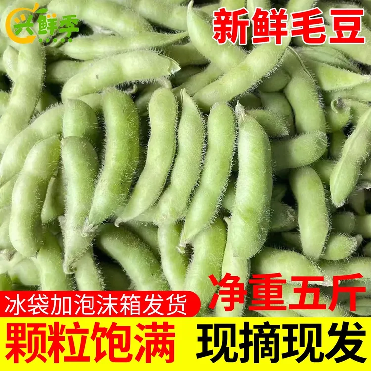 五斤毛豆新鲜带壳青豆子嫩豆荚商用水煮毛豆四川农家自种生鲜蔬菜
