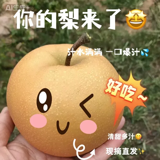 锦州北镇市满丰梨新鲜当季水果树上现摘套袋超甜大果皮薄果肉细腻