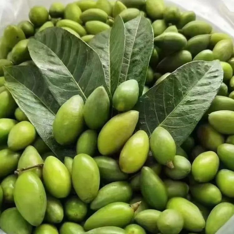 莆田新鲜橄榄 颗粒饱满适合生吃