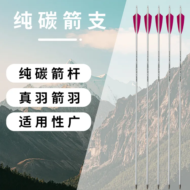 纯碳箭支符合反曲弓碳纤维箭杆户外专业射箭比赛练习成品箭竞技箭