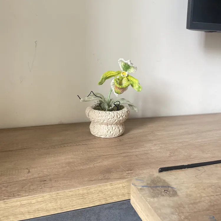 扭扭棒手工制作兜兰88