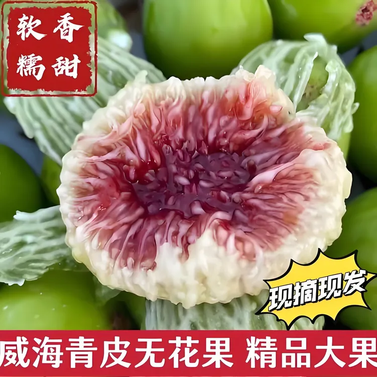 【空运到家】威海青皮无花果新鲜现摘树上熟流蜜香甜水果自然成熟