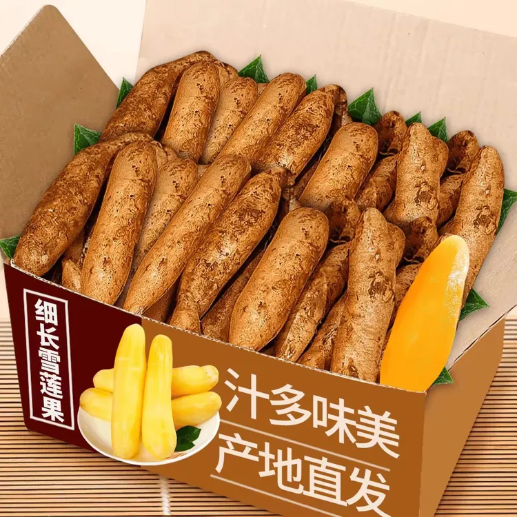 【2025头茬】云南天山雪莲果产地直发新鲜水果红泥沙种植黄心雪莲果